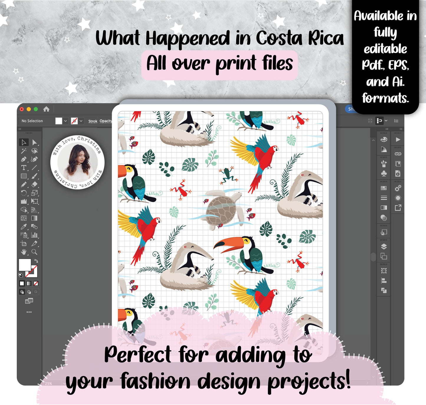 What Happened in Costa Rica (Artwork Files)