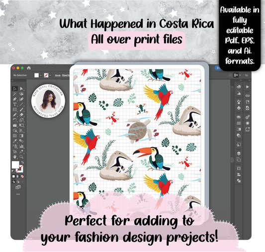 What Happened in Costa Rica (Artwork Files)